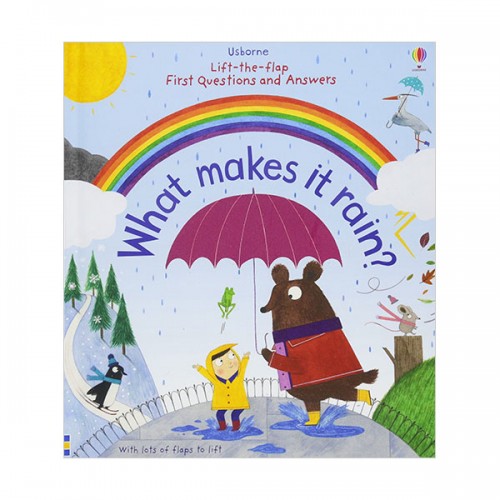 Lift-the-flap First Questions and Answers : What Makes it Rain? (Board book, 영국판)