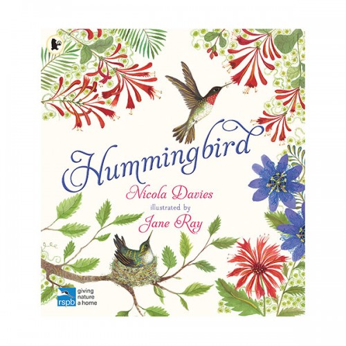 Hummingbird (Paperback, 영국판)