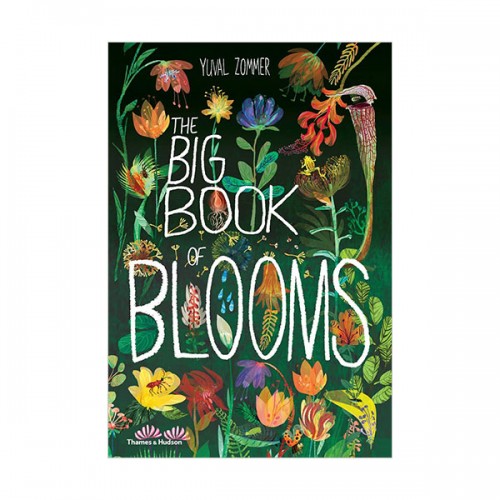 The Big Book of Blooms (Hardcover, UK)