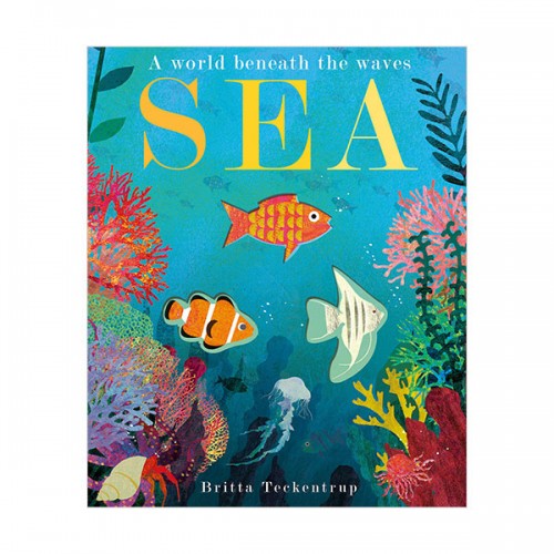 Sea (Paperback, 영국판)