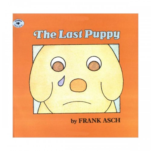 The Last Puppy : 꼴찌 강아지 (Paperback)