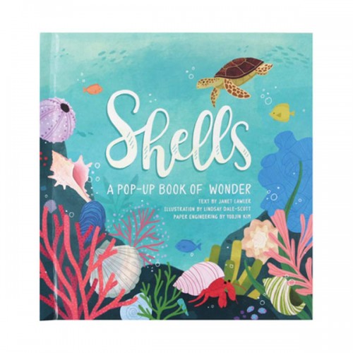  Shells : A Pop-up Book of Wonder (Hardcover, UK)