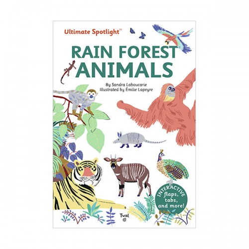 Ultimate Spotlight : Rain Forest Animals (Hardcover)