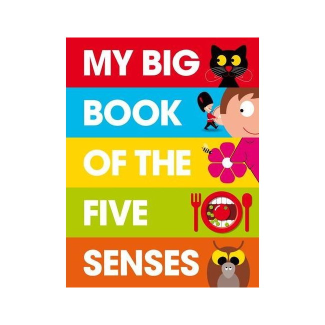 My Big Book of the Five Senses (Hardback, 영국판)