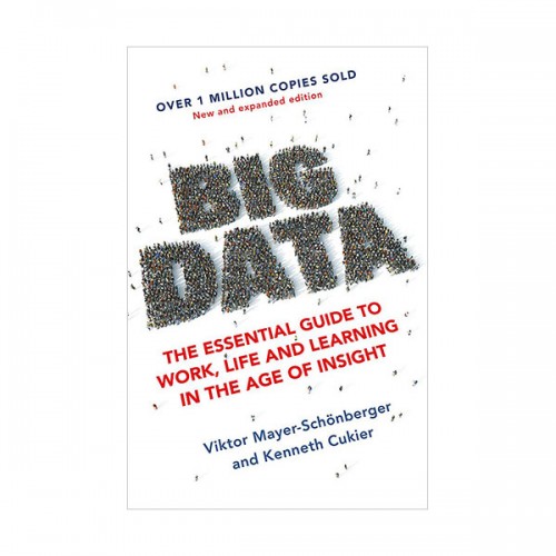 Big Data (Paperback, 영국판)