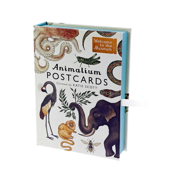 Welcome to the Museum : Animalium Postcards (Postcards)