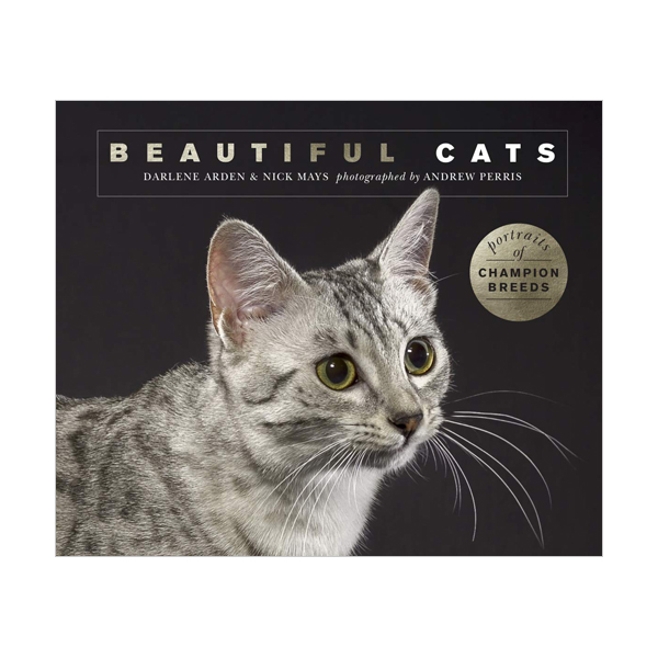 Beautiful Cats : Portraits of champion breeds (Beautiful Animals) (Paperback, 영국판)