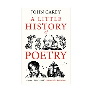 A Little History of Poetry (Paperback)