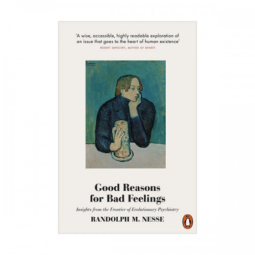 Good Reasons for Bad Feelings : 이기적 감정 (Paperback, 영국판)