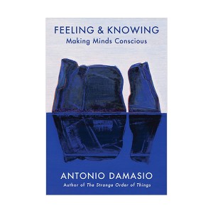 Feeling & Knowing : Making Minds Conscious (Hardcover)