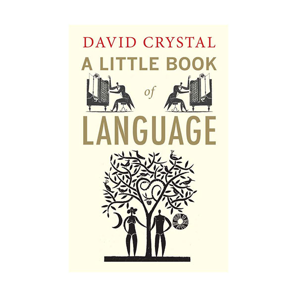 A Little Book of Language (Paperback, UK)
