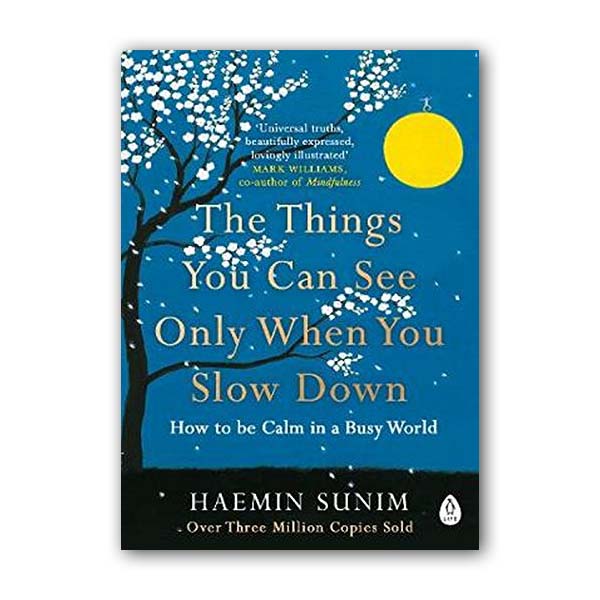 The Things You Can See Only When You Slow Down : How to be Calm in a Busy World (Paperback, 영국판)