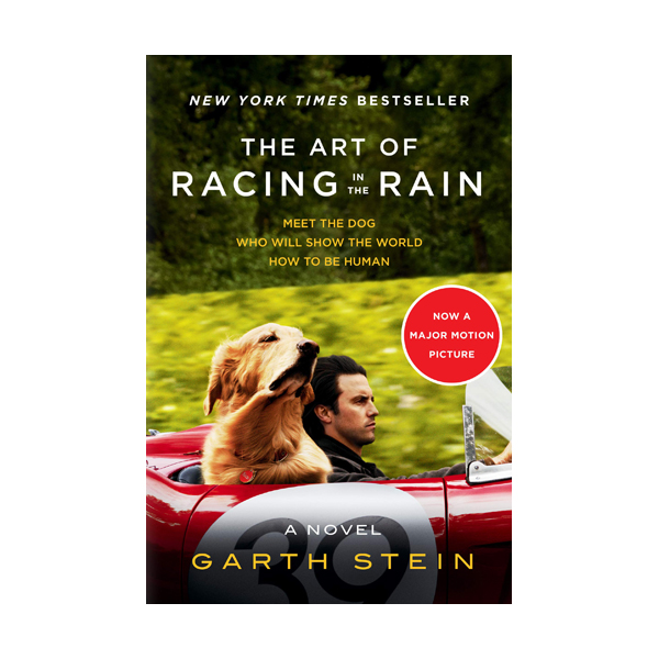 The Art of Racing in the Rain (Paperback, MTI)