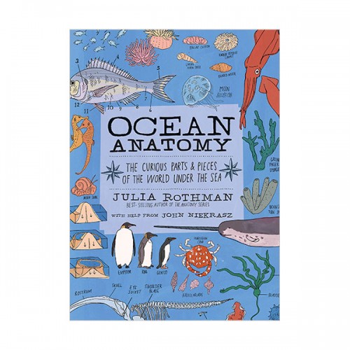 Ocean Anatomy : The Curious Parts & Pieces of the World under the Sea (Paperback)