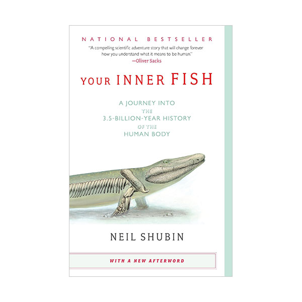 [★가을 여행]Your Inner Fish : A Journey into the 3.5-Billion-Year History of the Human Body (Paperback)