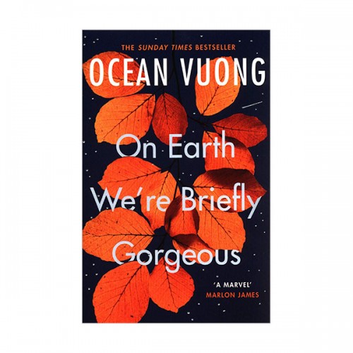 On Earth We're Briefly Gorgeous (Paperback, 영국판)