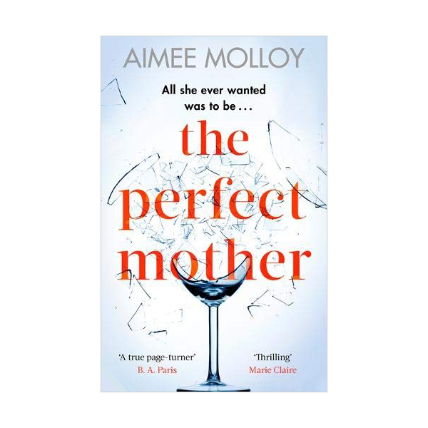 The Perfect Mother (Paperback, 영국판)