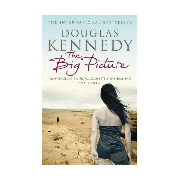 The Big Picture (Paperback, UK)