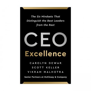 CEO Excellence (Paperback, INT)