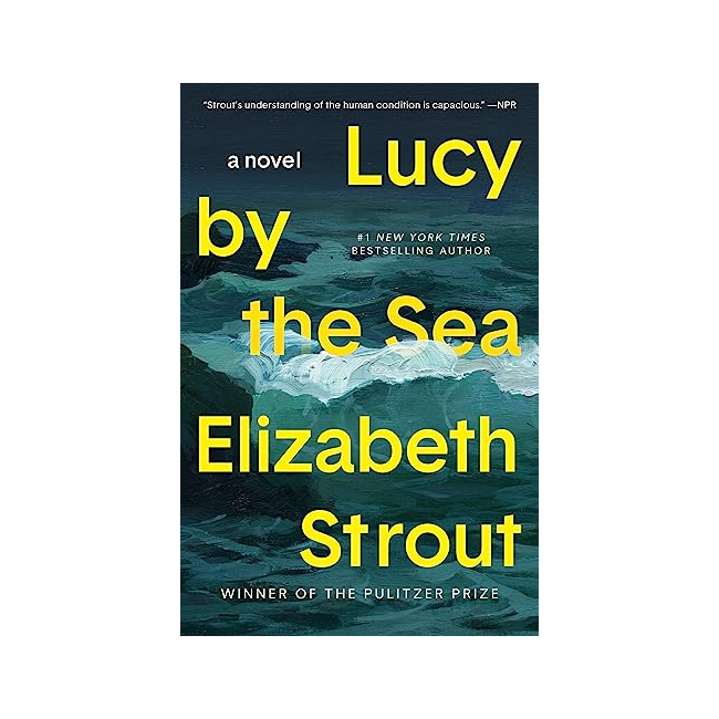 Amgash  #04 : Lucy by the Sea : A Novel (Paperback, 미국판)