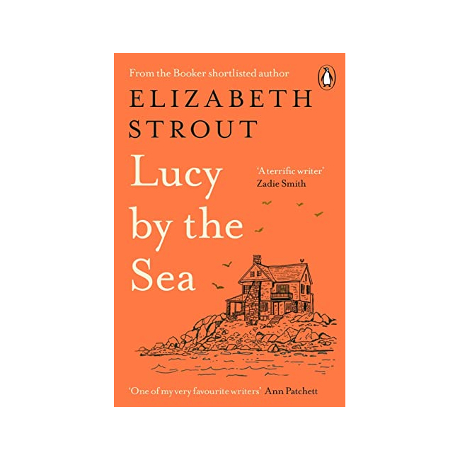 Amgash #04 : Lucy by the Sea : A Novel (Paperback, 영국판)