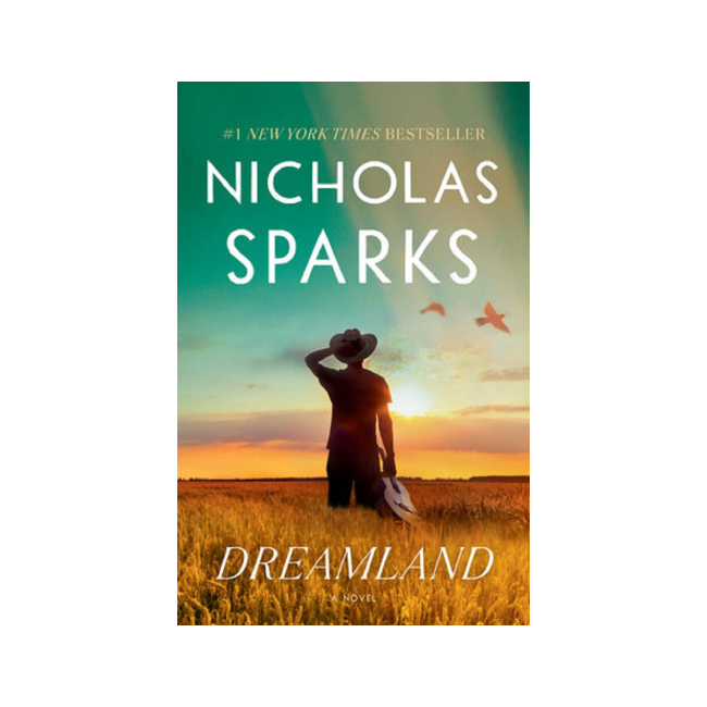 Dreamland : A Novel (Paperback, 미국판)
