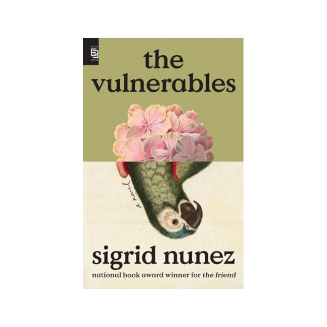 The Vulnerables: A Novel