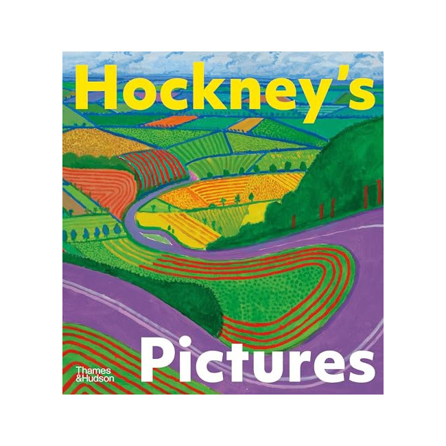 Hockney's Pictures