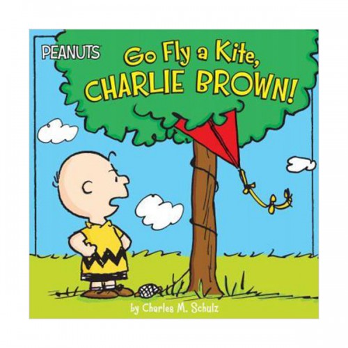 Peanuts : Go Fly a Kite, Charlie Brown! (Paperback)