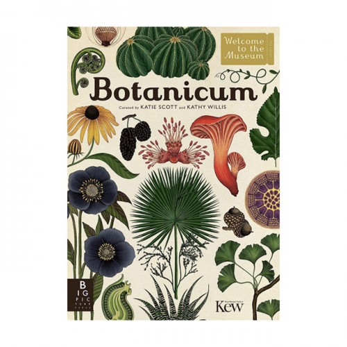 Welcome to the Museum : Botanicum (Hardcover, UK)