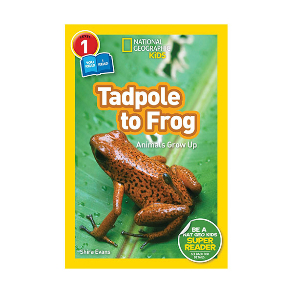 National Geographic Readers 1 : Co-readers : Tadpole to Frog (Paperback)