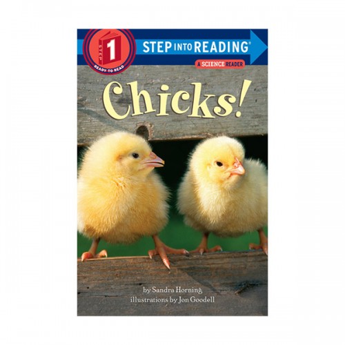 Step Into Reading 1 : Chicks! (Paperback)