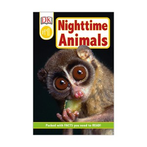 DK Readers Pre-Level : Nighttime Animals (Paperback)