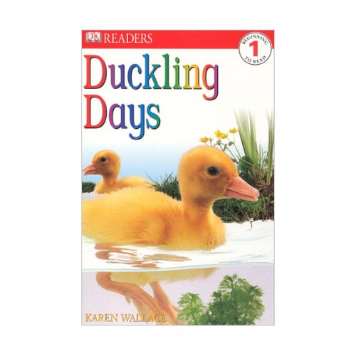 DK Readers 1 : Duckling Days (Paperback)