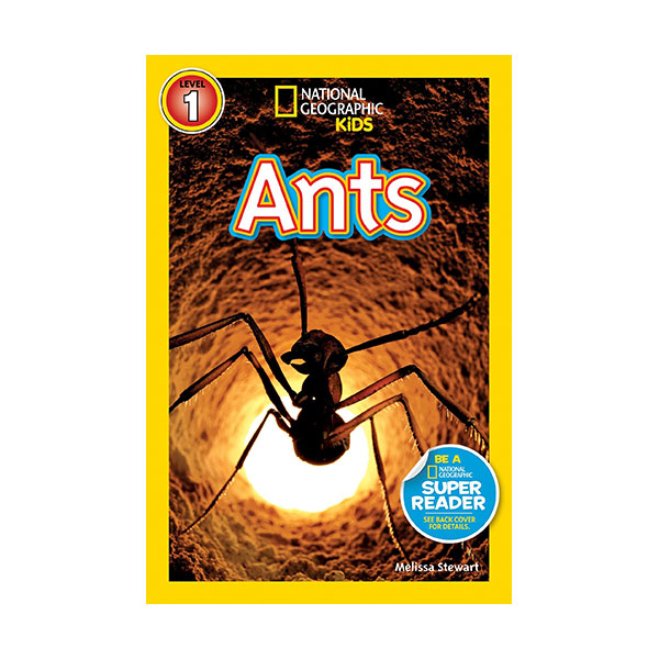 National Geographic Kids Readers Level 1 : Ants (Paperback)