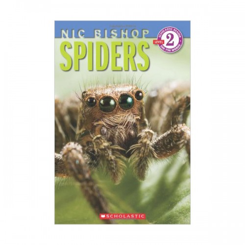  Scholastic Reader Level 2 : Spiders (Paperback)