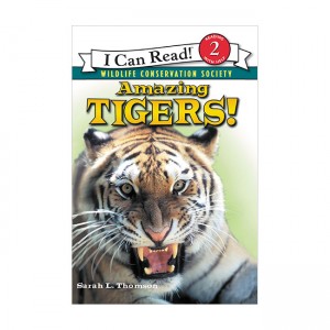 I Can Read 2 :Amazing Tigers! (Paperback)