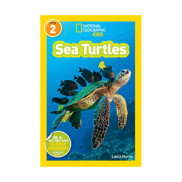 National Geographic Kids Readers Level 2 : Sea Turtles (Paperback)