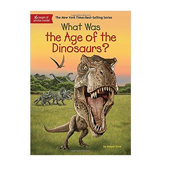 What Was the Age of the Dinosaurs? (Paperback)