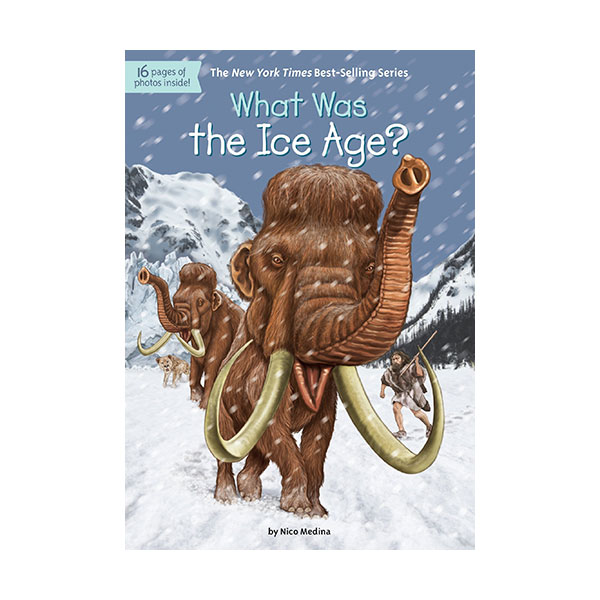 What Was the Ice Age? (Paperback)