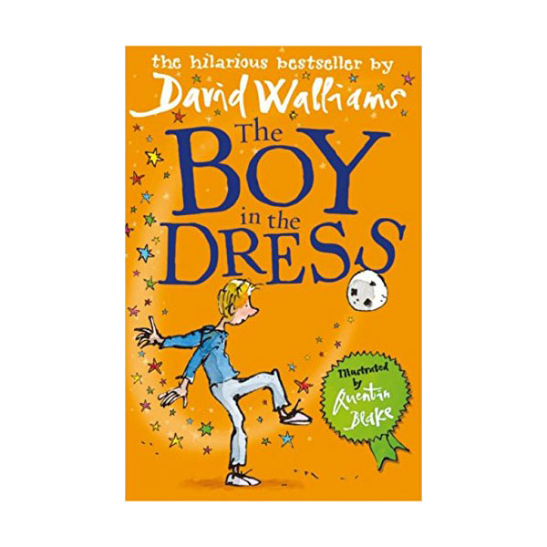 The Boy in the Dress (Paperback,영국판)