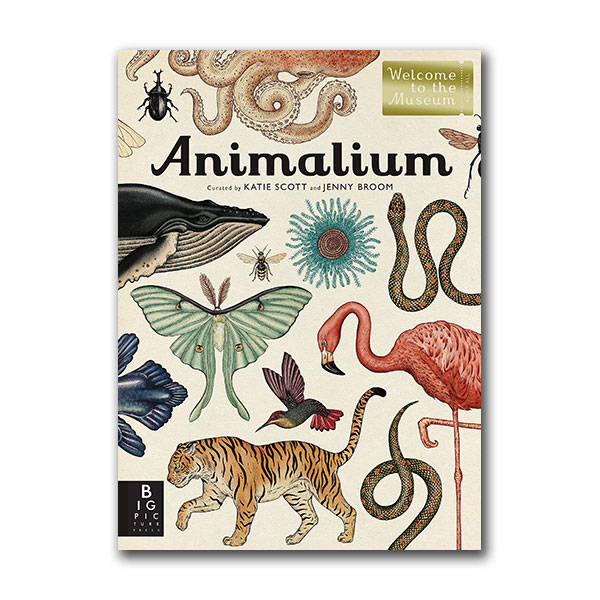Welcome to the Museum : Animalium (Hardcover)