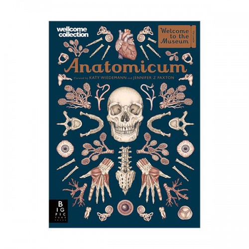 Welcome to the Museum : Anatomicum (Hardcover, UK)