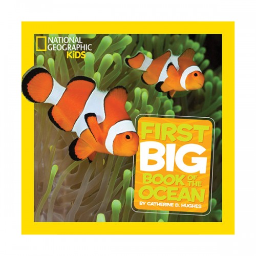 ▣언더더씨▣ National Geographic Little Kids First Big Book of the Ocean (Hardcover)