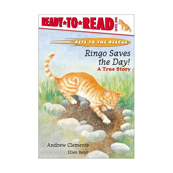 Ready to read 1 : Ringo Saves The Day! (Paperback)