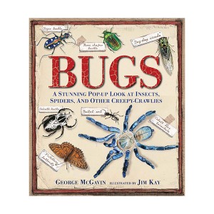 Bugs (Hardcover , Pop-up Book)