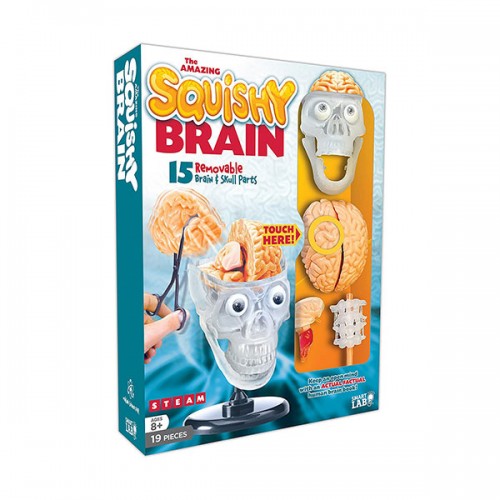 SmartLab Toys The Amazing Squishy Brain (Toy)