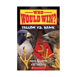 Who Would Win? : Falcon vs. Hawk (Paperback)