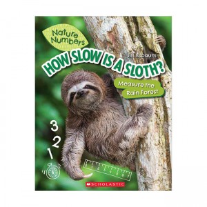 Nature Numbers : How Slow is a Sloth? : Measure the Rainforest (Paperback)