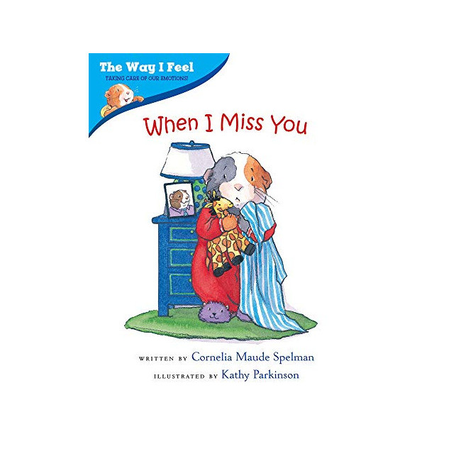 When I Miss You - The Way I Feel